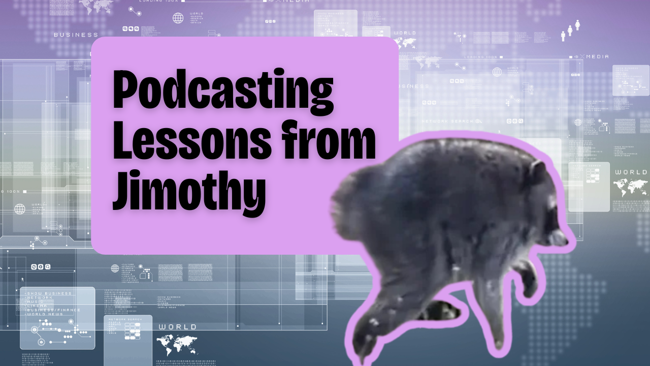 What a Viral Raccoon Taught Me About Starting a Podcast